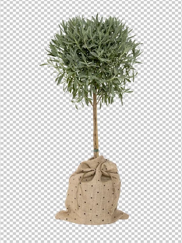 clipping path sample, after editing