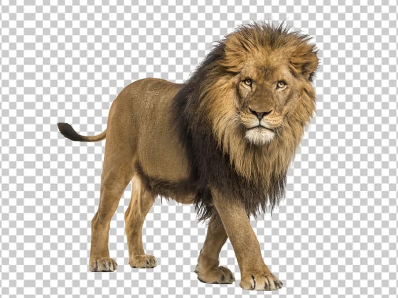 image masking sample, after editing