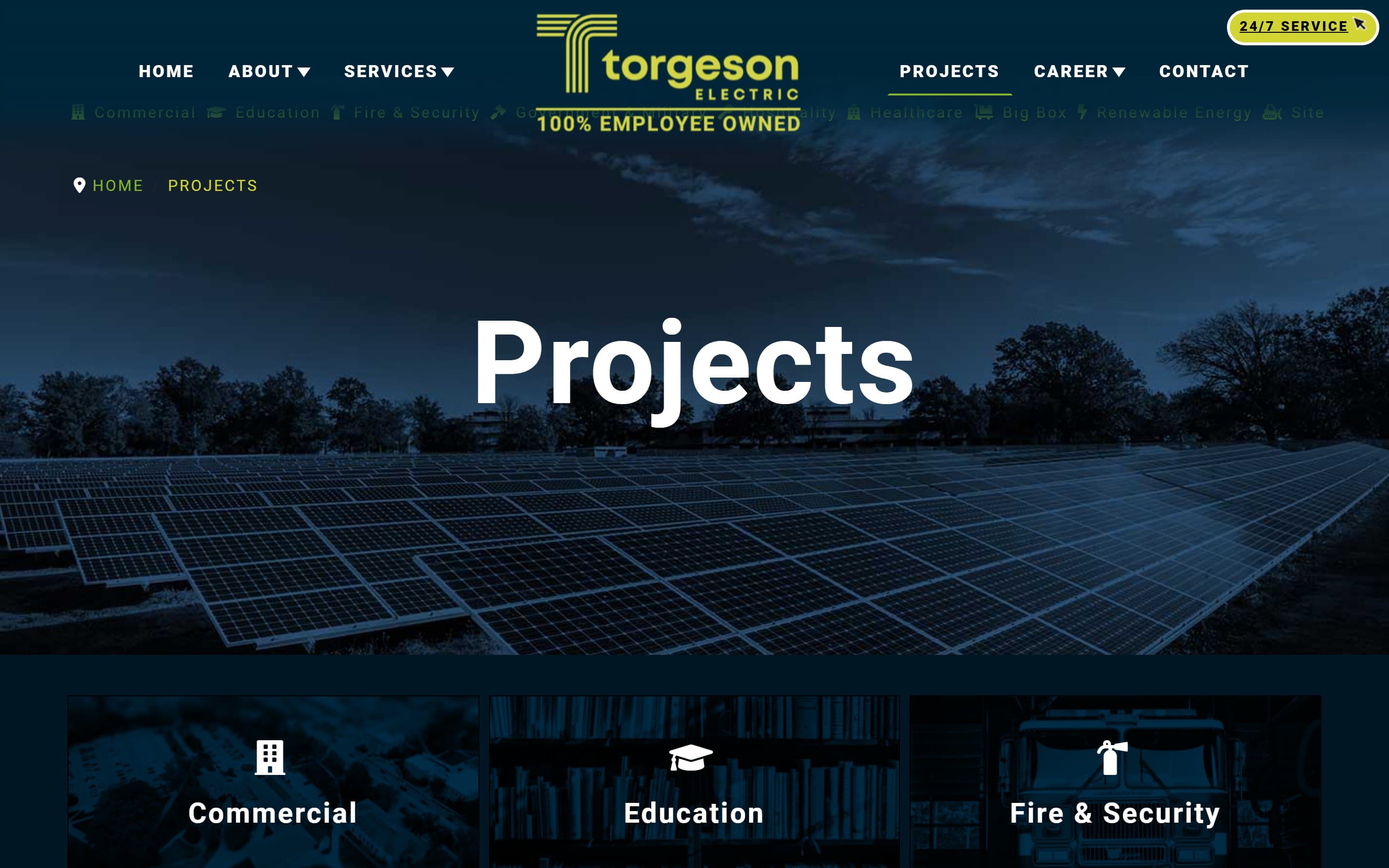Project record